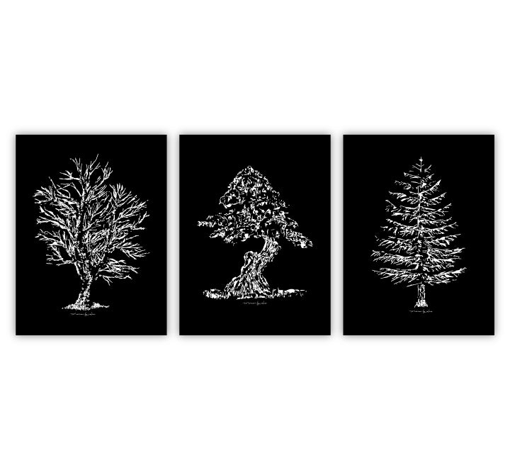 Morrow - 3 part collection